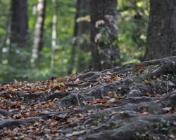 bieszczady-77
