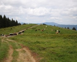 Ukraina_Karpaty (10)