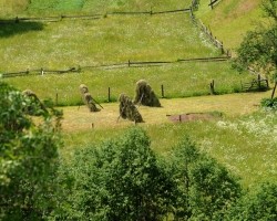 Ukraina_Karpaty (14)