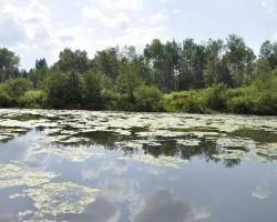 dsc0064