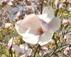nj-park-39a