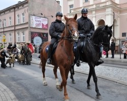 orszak_3_kroli-8