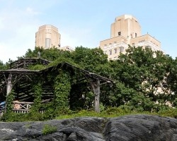 central-park-1