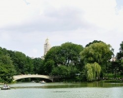 mostek-c-park-1