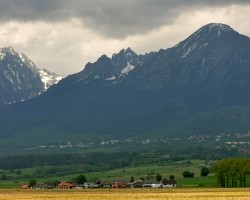 Plener_miedzynarodowy_RSF_Slowacja_fot_Jan_Szczepanski (1)