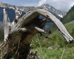 Plener_miedzynarodowy_RSF_Slowacja_fot_Jan_Szczepanski (11)