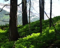 Plener_miedzynarodowy_RSF_Slowacja_fot_Jan_Szczepanski (3)