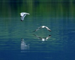 Plener_miedzynarodowy_RSF_Slowacja_fot_Jan_Szczepanski (7)