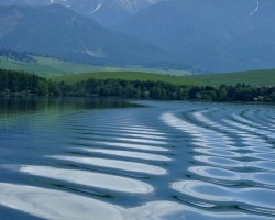 Plener_miedzynarodowy_RSF_Slowacja_fot_Jan_Szczepanski (8)